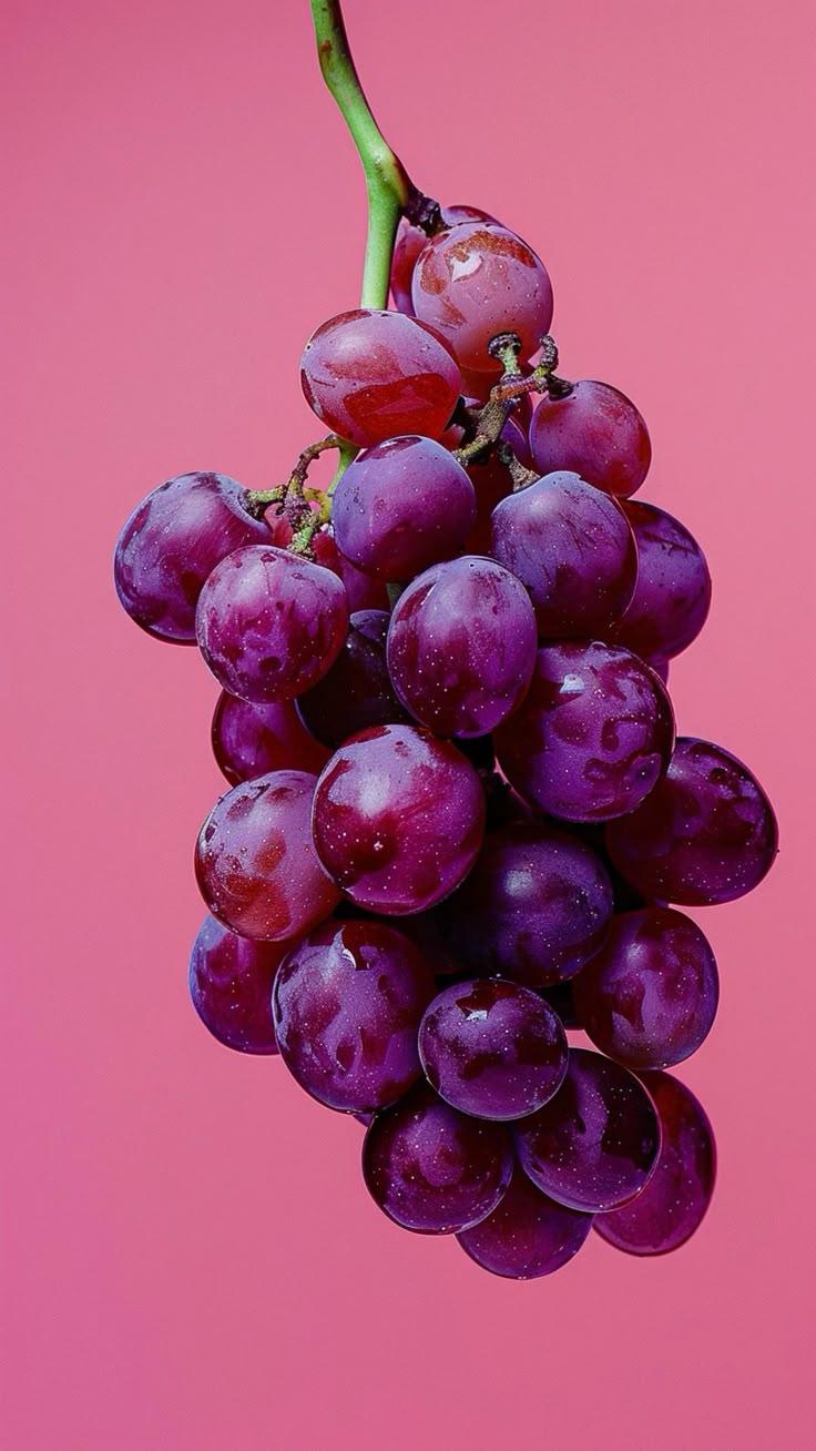 Orchard Bounty: Fresh-Picked Fruit Medley