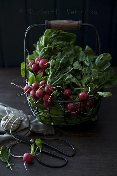 Root Medley Parade: Earthy Veg Palette